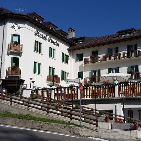 Hotel Pineta Falcade Buitenkant foto